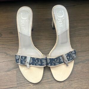 Dior Beige and Blue Heels